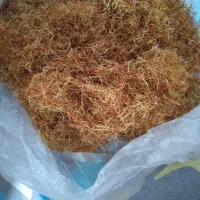 فروش ریشه زعفران