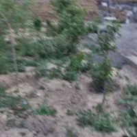۱۱۱