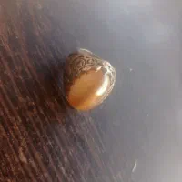 سلیمانی چشم گربه ای