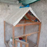 یک عدد قفس دست ساز در خدمت شما