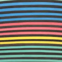 تاتامی شایان|تجهیزات ورزشی|تهران, منیریه|دیوار