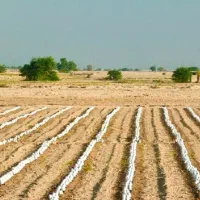 زمین دشت محمدیه