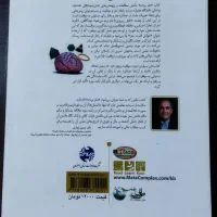 مغز برنده.خلاقیت قرضی.جملات کلیدی زبان|کتاب و مجله آموزشی|اصفهان, خلیل آباد|دیوار