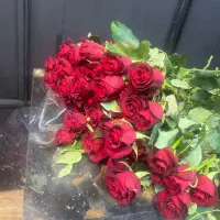 جشنواره رز هلندی بدونه واسطه ازگلخانه|گل و گیاه طبیعی|تهران, آهنگ|دیوار