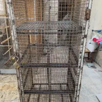 جفت کن گنجه جفتکنی جوجه کشی|لوازم جانبی حیوانات|تهران, جوادیه|دیوار