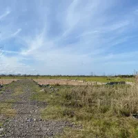 این زمین فردا گرونتره ، امروز تصمیم بگیر