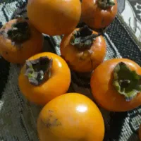 خرمالو تازه