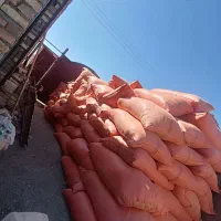 کاه گندم|عمده‌فروشی|سرداران, |دیوار