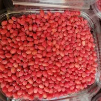 زرشک تازه دانه شده و آب زرشک تازه خالص و طبیعی