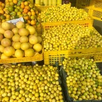 ابلیمو. ابغوره. اب انار. اب نارنج. خوش طعم