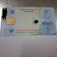 گم شده ها