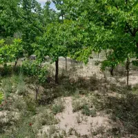 باغ ویلا۵۰۰متری باامتیازشاهنامه۶۹