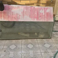 اکواریوم با تمامی وسایل