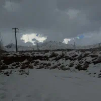 فروش-باغ-دمه-قنات-دهنو-پاریز