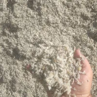 طوفال خشک وتر