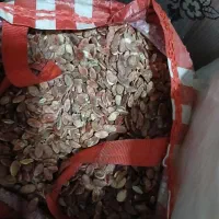 تخمه هنداونه محلی زابل