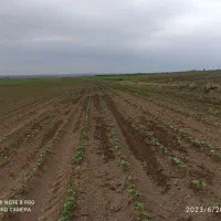 اجاره-زمین-کشاورزی