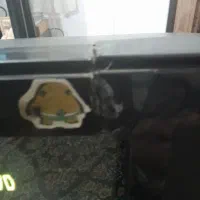 تلویزیون|تلویزیون و پروژکتور|فومن, |دیوار