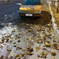 پژو ۴۰۵ طلایی|خودرو سواری و وانت|بروجن, |دیوار