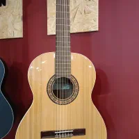 گیتار اسپانیایی آلمانزا ۴۰۱