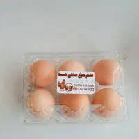 تخم مرغ محلی