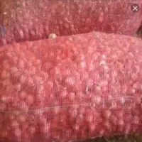 موسیر کوهی مناسب بذر