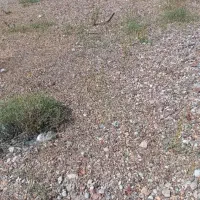 فروش زمین