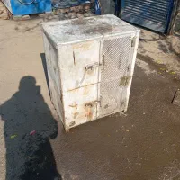 کفتر جفت کنی کفتر