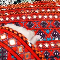 سرتوپ زی استین