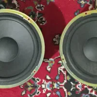 ساب خانگی|سیستم صوتی خانگی|شازند, |دیوار