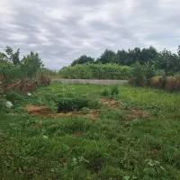 زمین خزر ویلا