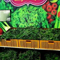 سبزیجات آماده طبخ عطرریحون