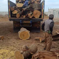 خرید چوب|خدمات باغبانی و درختکاری|پارس‌آباد, |دیوار