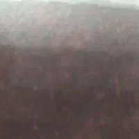 امتیاز گل نرگس