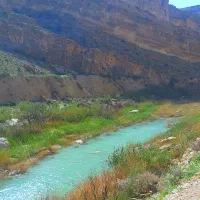 فروش ۱۲ هکتار زمین کشاورزی|فروش دفتر صنعتی، کشاورزی، تجاری|راهگان, |دیوار