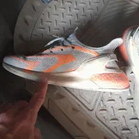 کفش اسپورت|کیف، کفش، کمربند|تربت جام, پاسداران|دیوار