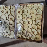 میوه خشک صادراتی|خوردنی و آشامیدنی|تهران, کوهک|دیوار