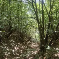 زمین-امیر-کیوان-سرمایه-گذاری