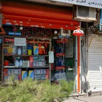 مغازه 19 متر سرقفلی توحید فروش|فروش مغازه و غرفه|تهران, نصرت|دیوار