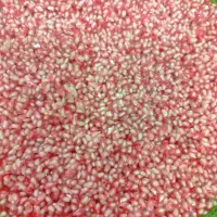 تخم انار جنگلی