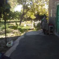 غاز
