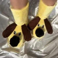 پاپوش فانتزی زمستونه|کیف، کفش، کمربند|اراک, |دیوار