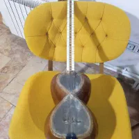 تار . ساز|سازهای سنتی|تهران, سنائی|دیوار