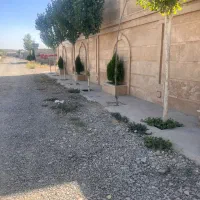 ۲۴۰مترمناسب ساخت/ویلایی کردان سهیلیه زعفرانیه|فروش زمین و ملک کلنگی|کرج, برغان|دیوار