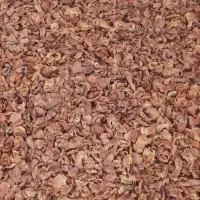 برگه زردآلو  آفتابی
