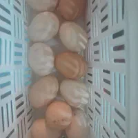 تخم مرغ بومی