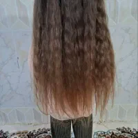 موی طبیعی تک و عمده خریدارم