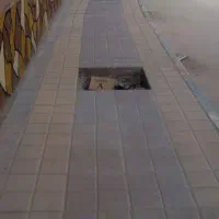 بنا ساختمان کلیه کار ساختمان|خدمات پیشه و مهارت|برازجان, |دیوار