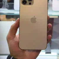 دوازده پرومکس