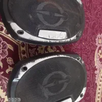 یک جفت باند پایونر